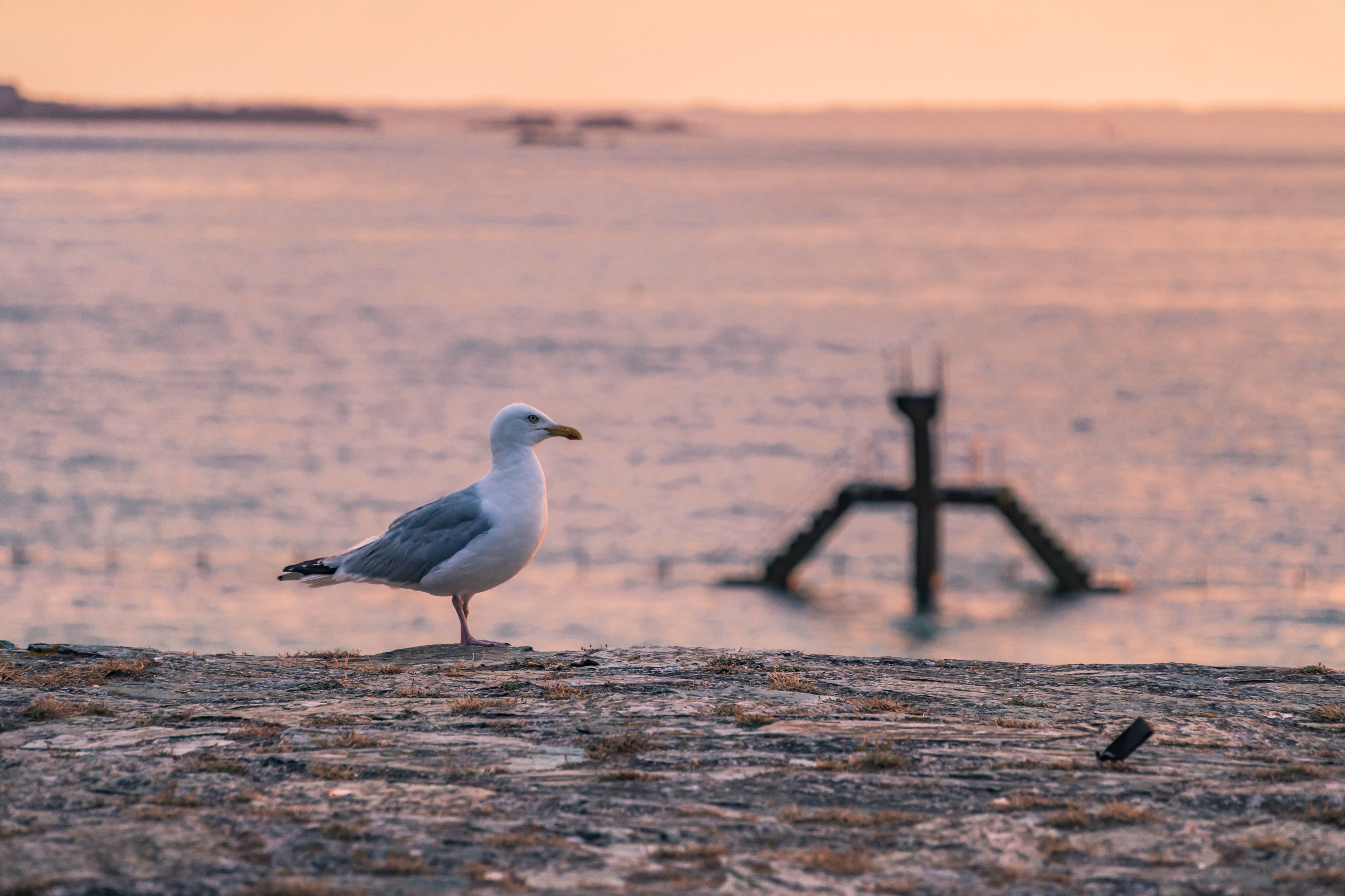 Tour de la Bretagne en van