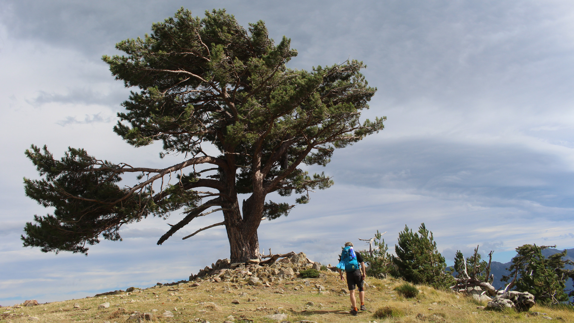 La Corse en 8 jours (GR20)