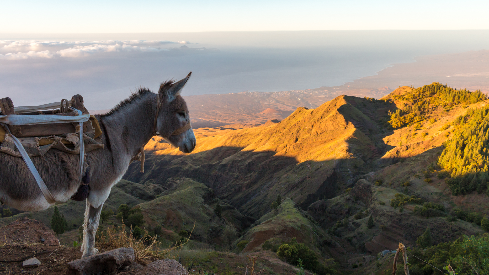 Santo Antao à pied