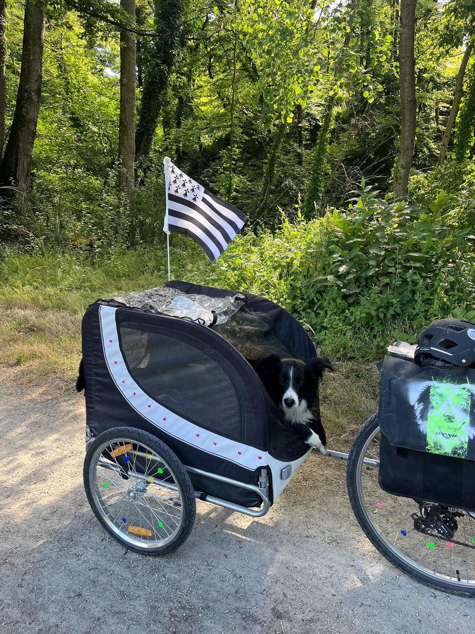 Vélodyssée (1 200 km)